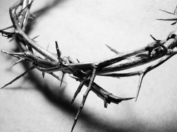 After the flogging of Jesus, the soldiers twisted a crown of thorns and placed it on his head almost as the  last step of humiliation since they mocked him saying he called himself a King. Jesus took this shame all for us. He died to live. What fruit am I bearing which testifies to his work in me?